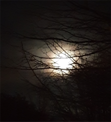 Halloween Moon